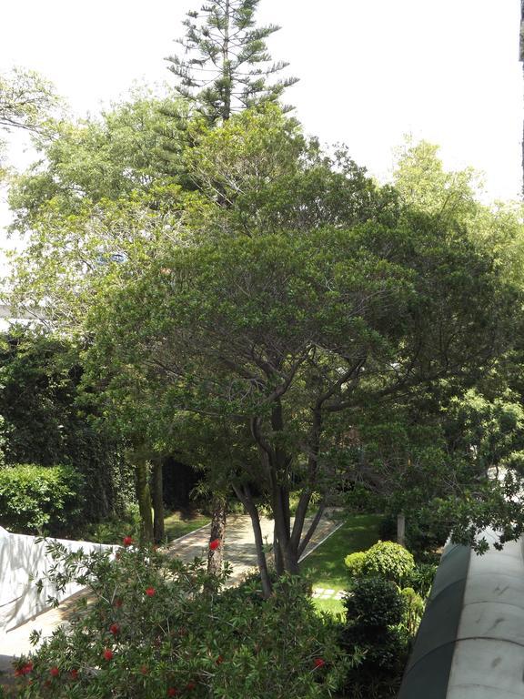 Pedregal Palace Mexico City Luaran gambar